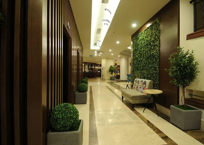 Goldcity * アランヤ